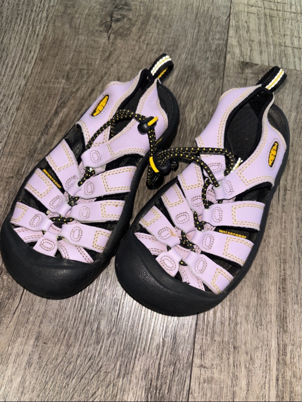 KEEN Newport H2 water sandals